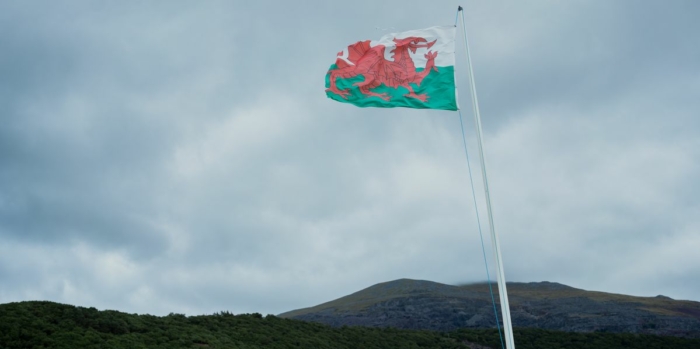 Image: The Welsh flag fluttering in a cloudy sky over a lush green landscape in Wales.